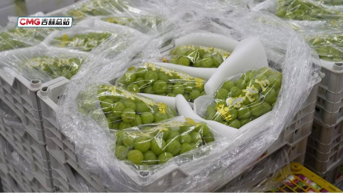 元旦假期長春水果花卉市場購銷兩旺 節日消費市場暖意濃