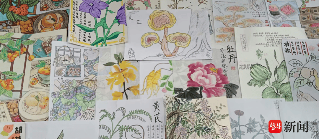 賦能中藥文化傳承，蘇州衛生職業技術學院“紫花地丁”中藥社團這樣做——