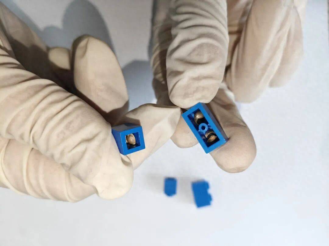 暗度陳倉！玩具積木中夾藏大麻種子