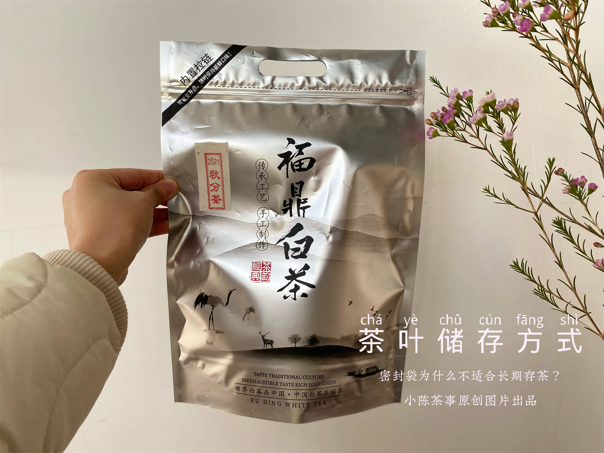 幾千塊的茶葉，別毀在幾毛的密封袋上！茶葉密封袋，你選對了嗎？