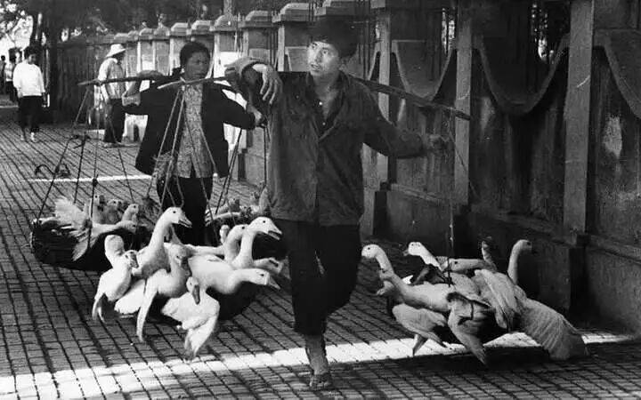 新中國第一批女攝影記者曉莊去世，享年94歲