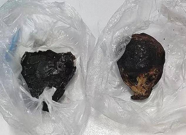 昆明海關所屬瑞麗海關查獲蜂猴製品105克