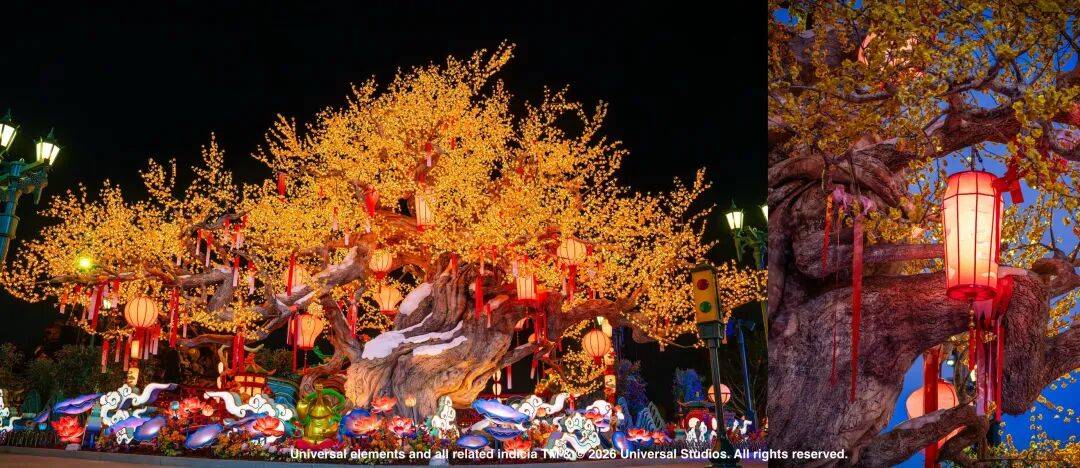 一路生花！世界級旅遊目的地“崛起記”