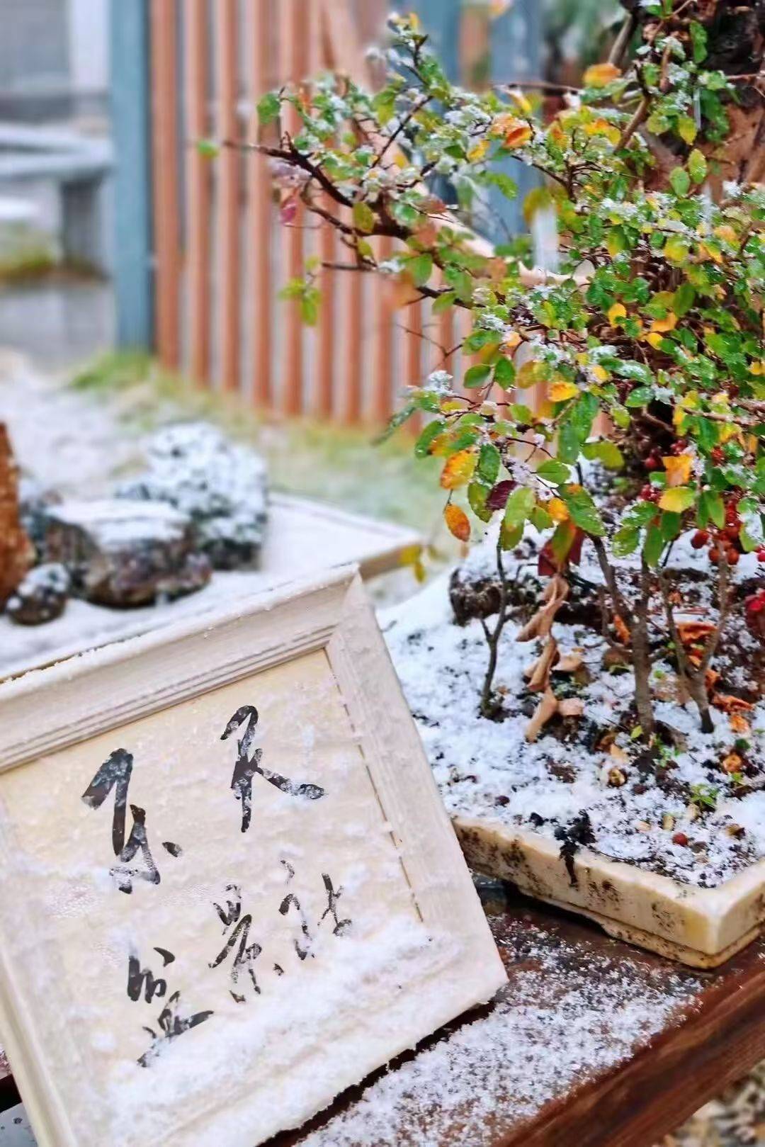 蘇州降雪！山塘中心小學校雪景美如詩畫