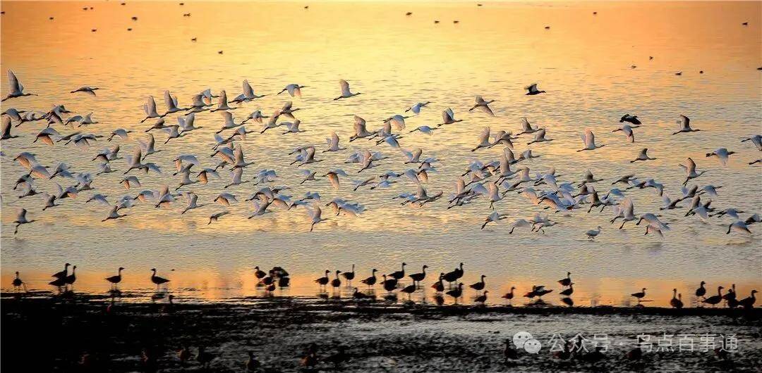 國際旅遊攝影網2026年國內外攝影路線全景指南