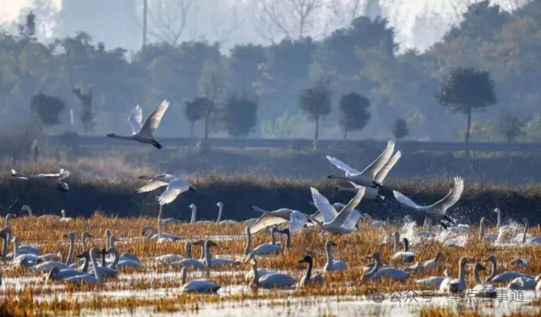 國際旅遊攝影網2026年國內外攝影路線全景指南