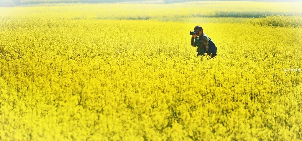 【國際旅遊攝影網】推薦住宿羅平螺絲田旭升客棧