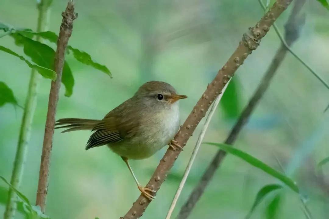 國際旅遊攝影網2026年國內外攝影路線全景指南