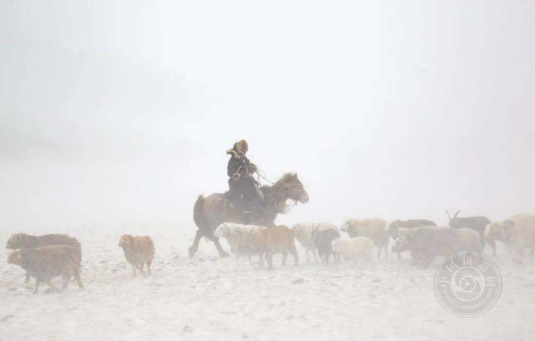 揭曉 | 2025年度全球旅遊攝影大賽獲獎作品公佈（上）