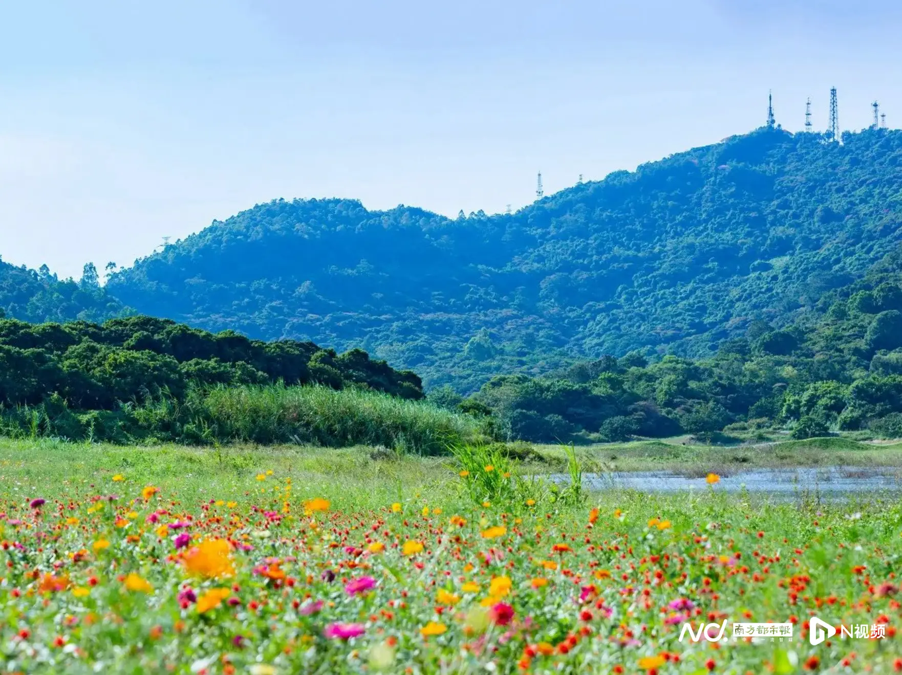 不止看燈！大灣區燈會周邊漫遊指南來了，吃住遊攻略一鍵收藏