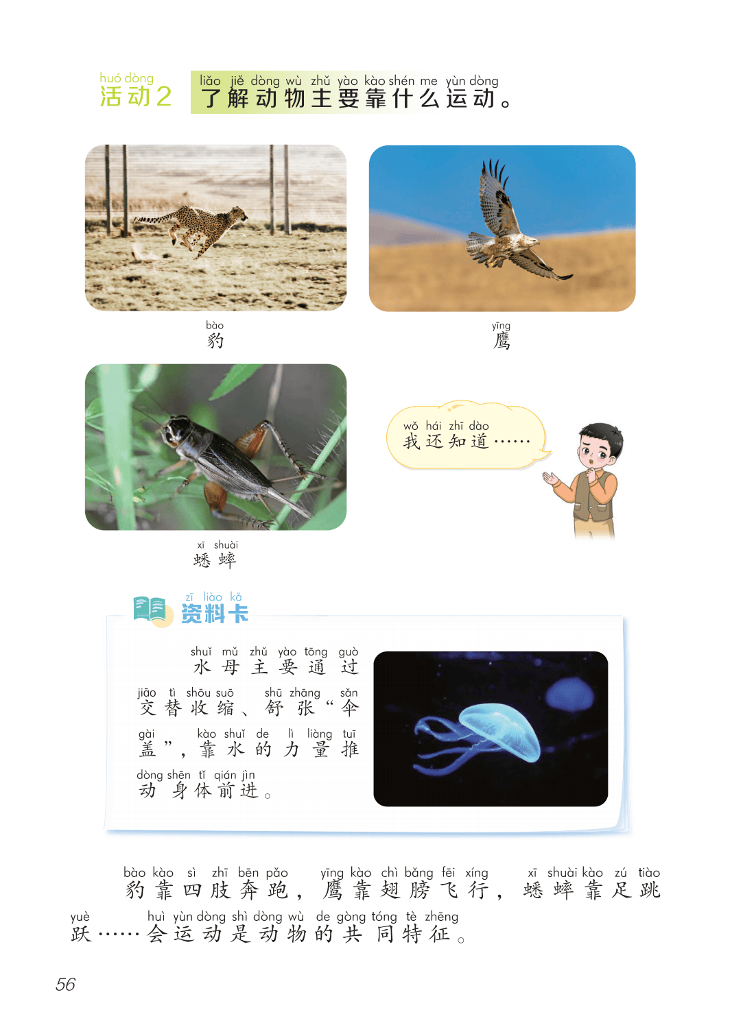 2026青島版一年級科學下冊電子課本(PDF高畫質版新教材)