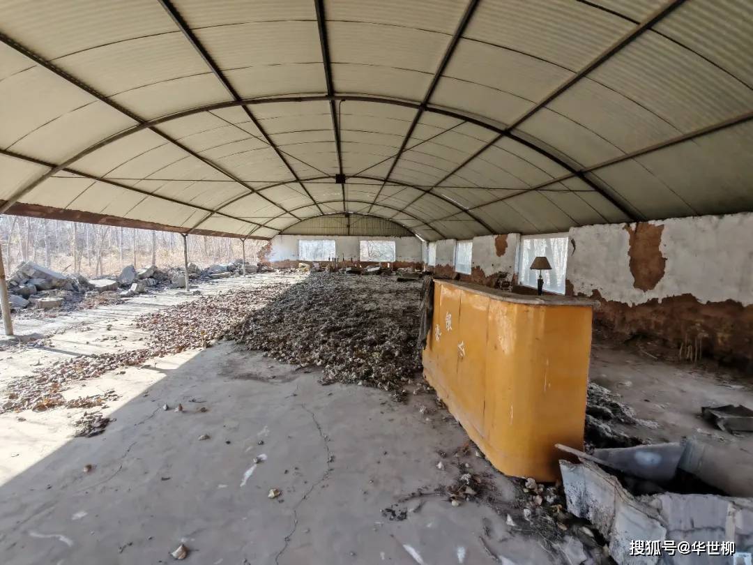 記錄德州：探秘德州曾經最火的旅遊勝地——大雁島，還有東山再起的機會嗎？