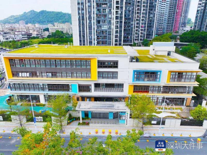 從“跟跑”“並跑”到“領跑”，深圳這區如何規劃未來教育