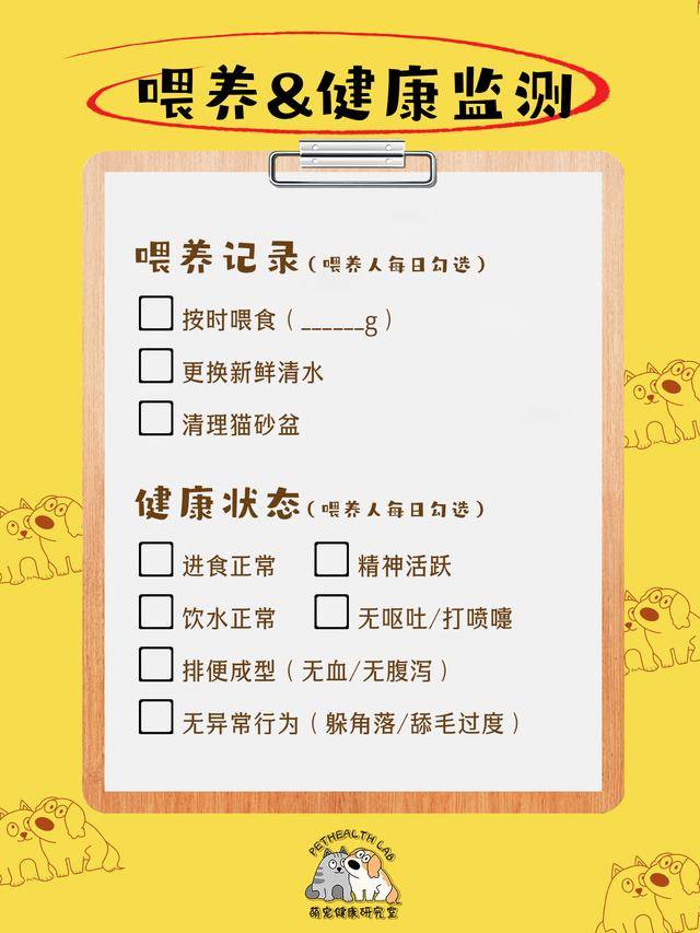 鏟屎官收藏！春節貓咪留守應急清單，對照準備