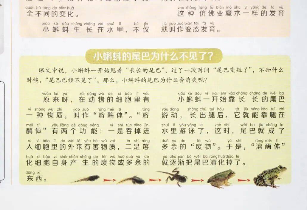 新的隱形攀比，正在小學悄悄流行！老師從來不說，但家長要知道