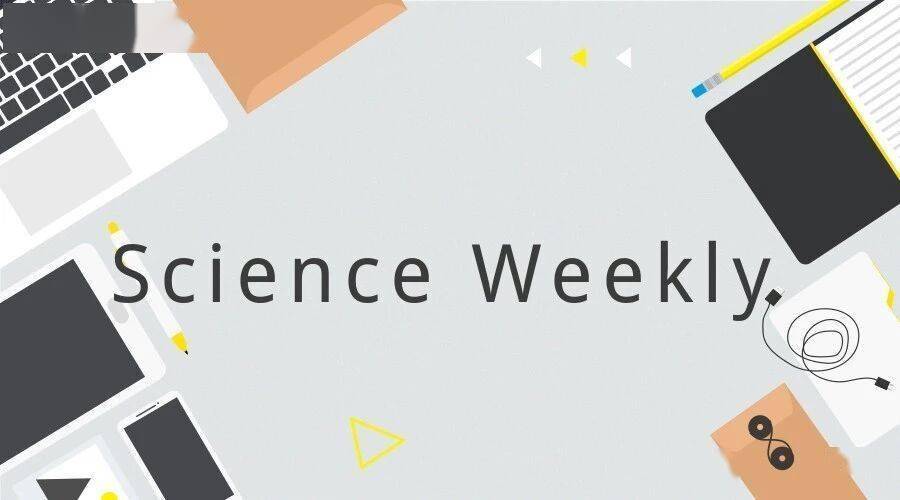 癌症領域有多少論文出自“論文工廠”？