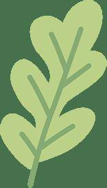 【佑安•首都除夕護衛健康】佑安送福，春季流感高發這些防護要點請收藏