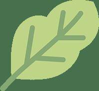 【佑安•首都除夕護衛健康】佑安送福，春季流感高發這些防護要點請收藏