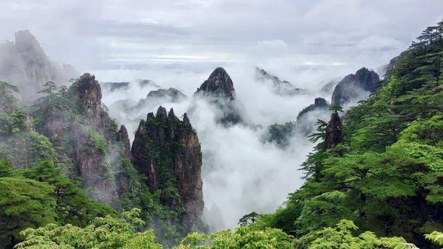 黃山剛剛官宣：面向全球女性，免門票7天！
