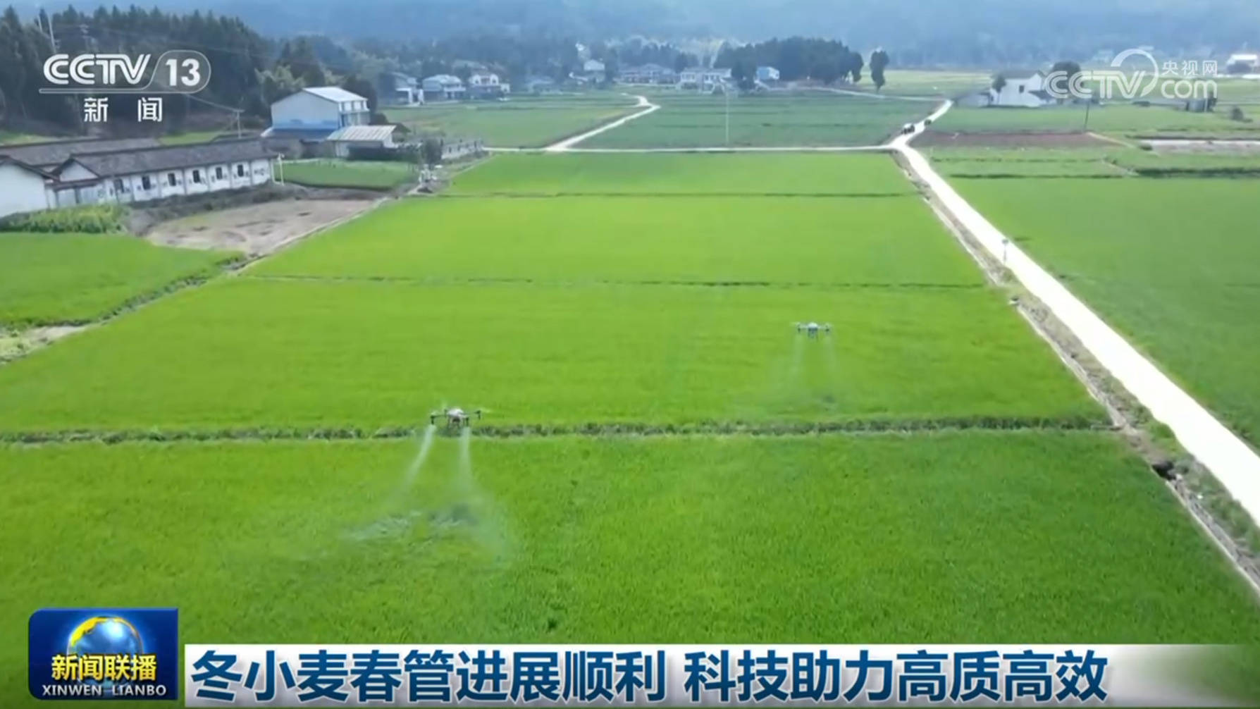 冬小麥春管進展順利 科技助力高質高效