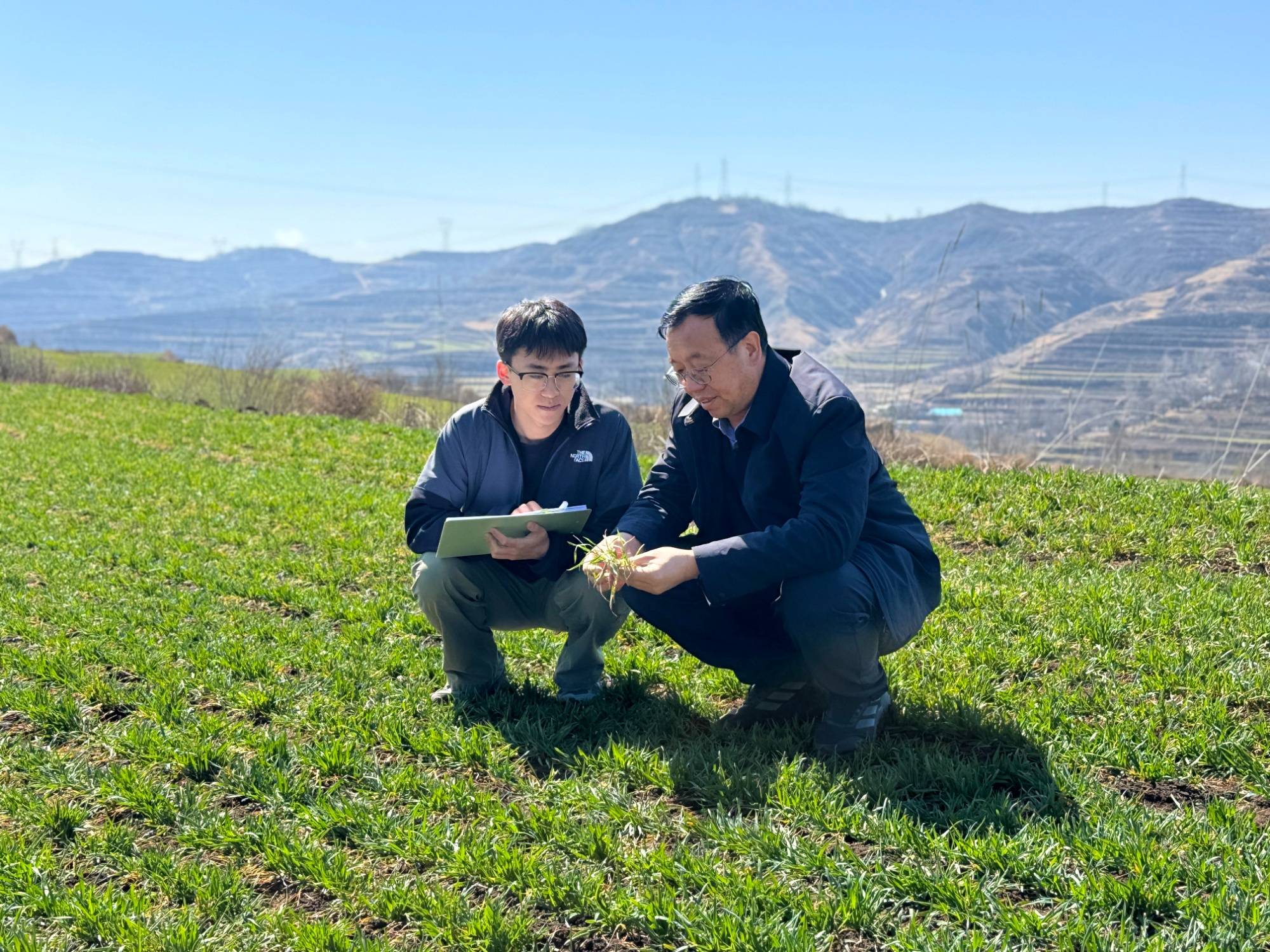 科技送到田埂上 甘肅張家川小麥春管忙