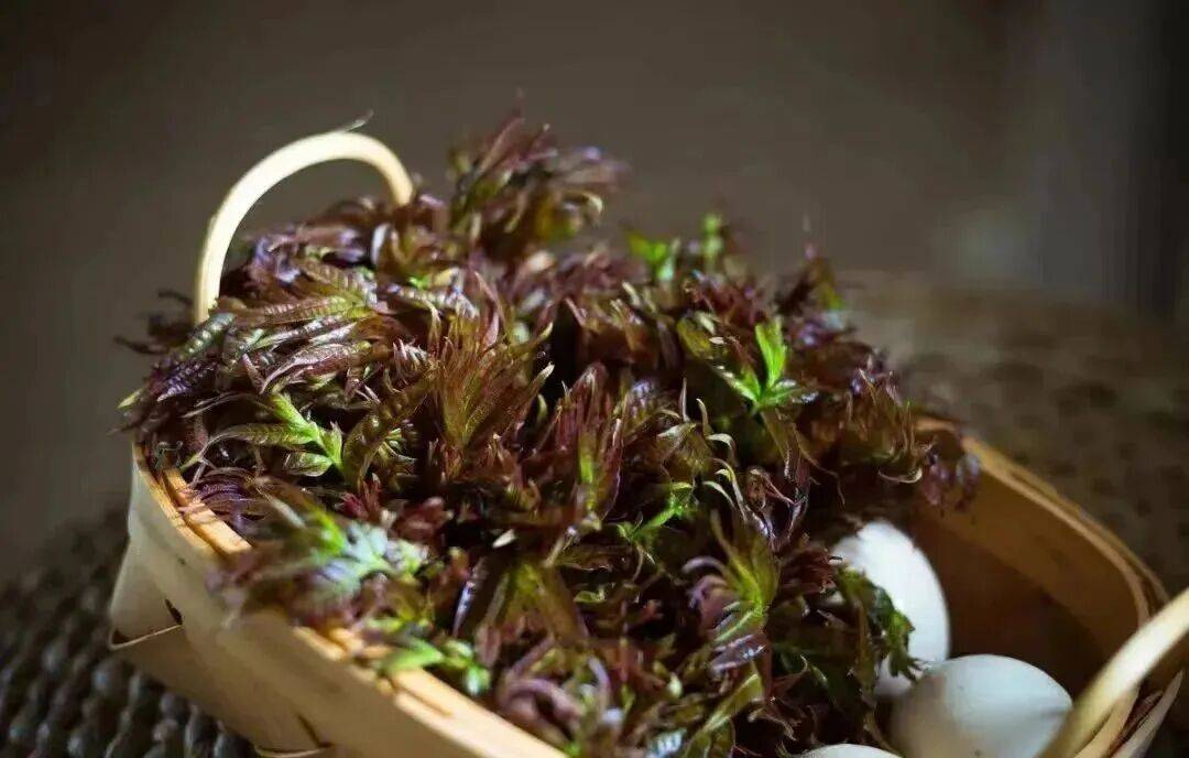 春季美食品鑑•陝西省鎮坪縣人的春天，都吃什麼呢？