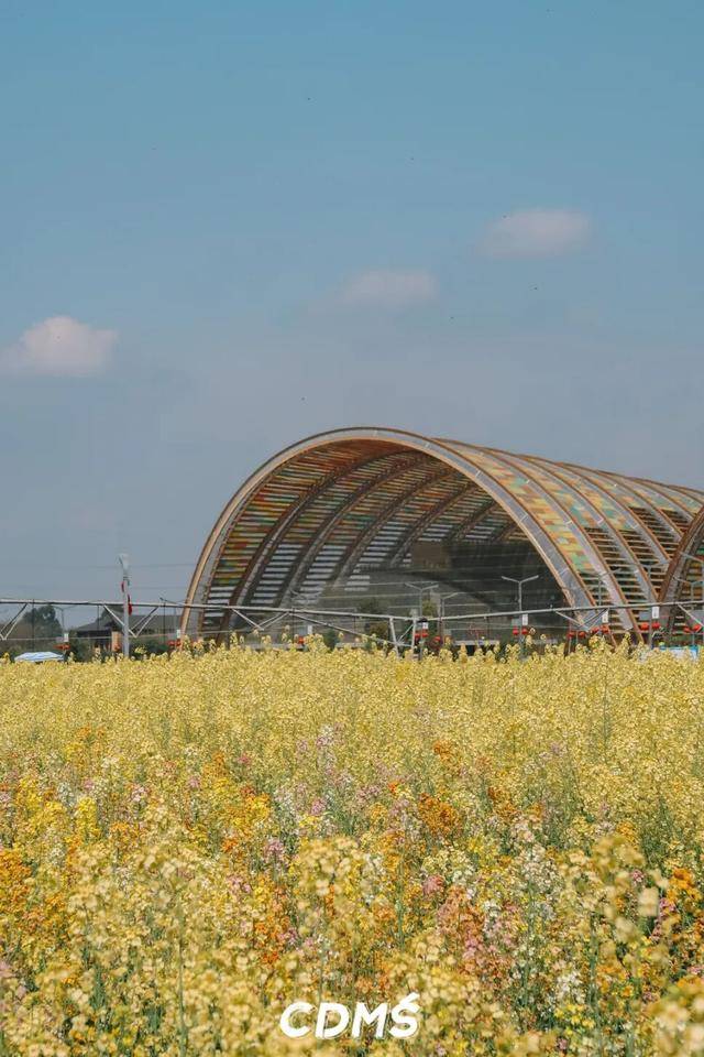 收藏！新津美食地圖更新了