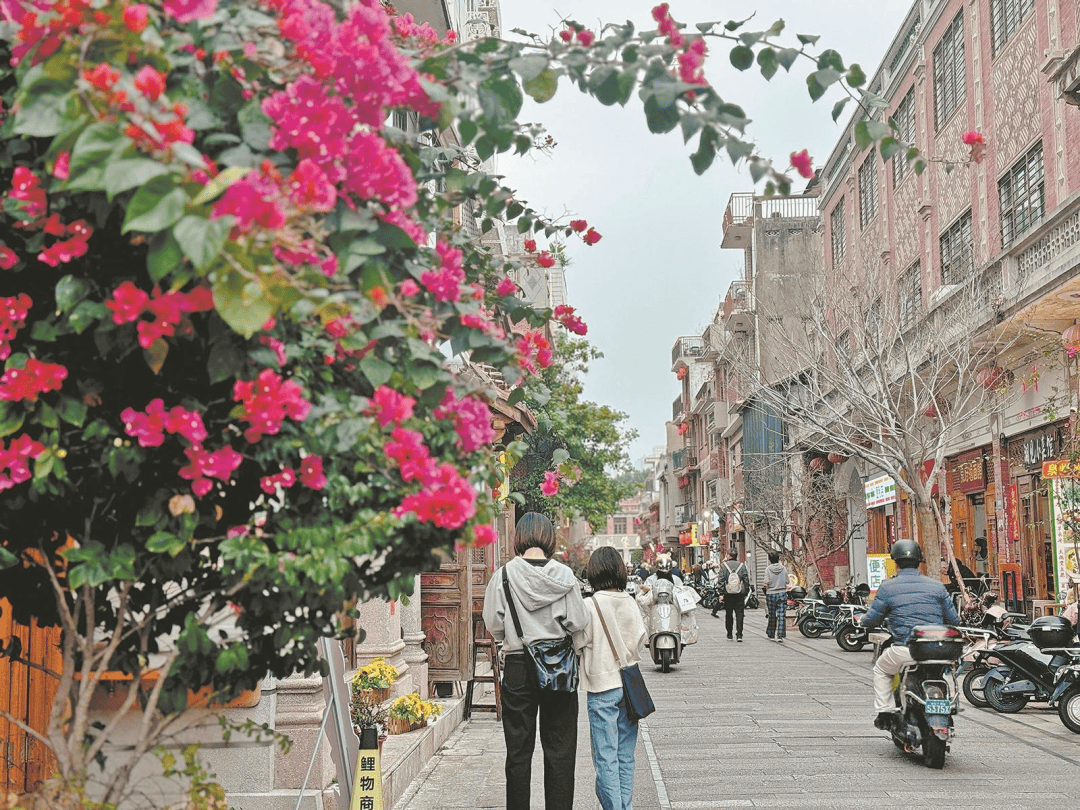 收藏！泉州春日賞花去哪裡？花期+地址全攻略