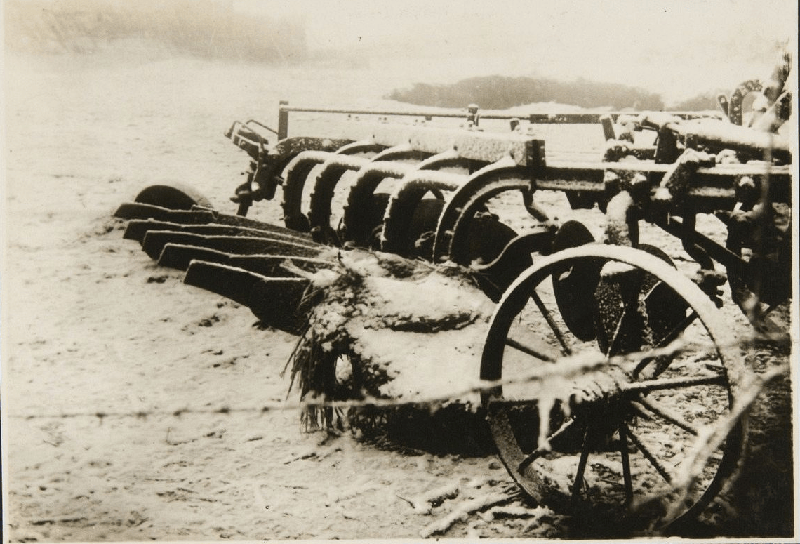 原創偽滿洲國時期的彌榮村：日本移民搶奪資源，無惡不作