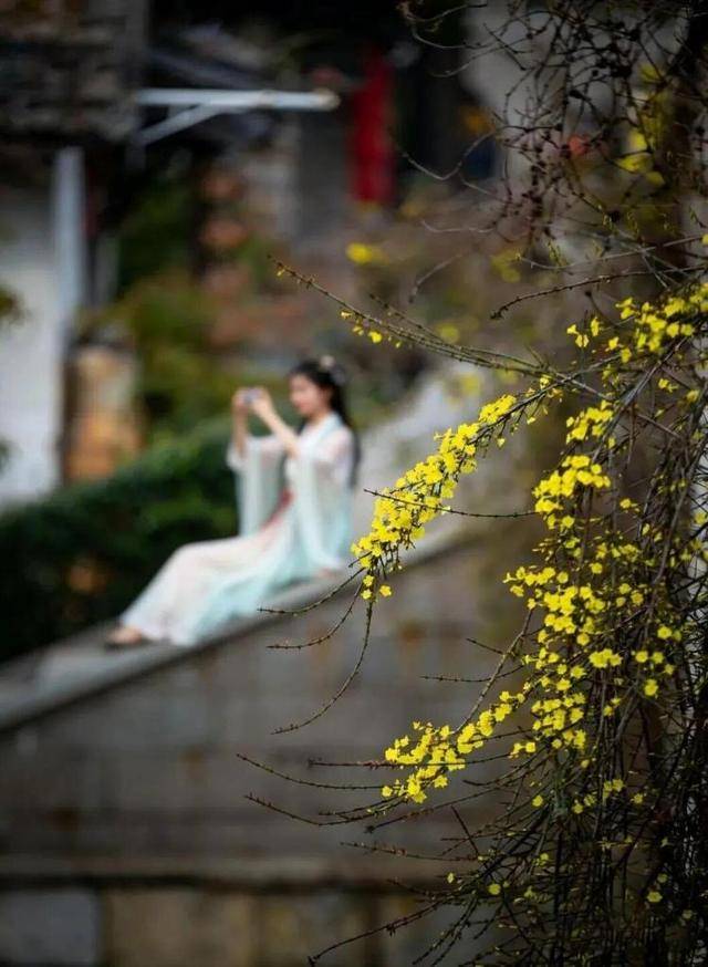 速收藏！棗莊臺兒莊古城春之花影與夜燈，錯過再等一年喲！