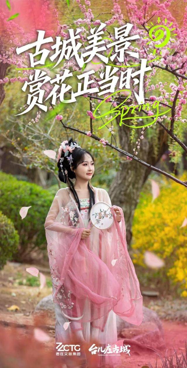 速收藏！棗莊臺兒莊古城春之花影與夜燈，錯過再等一年喲！