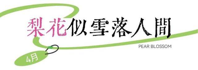 速收藏！棗莊臺兒莊古城春之花影與夜燈，錯過再等一年喲！