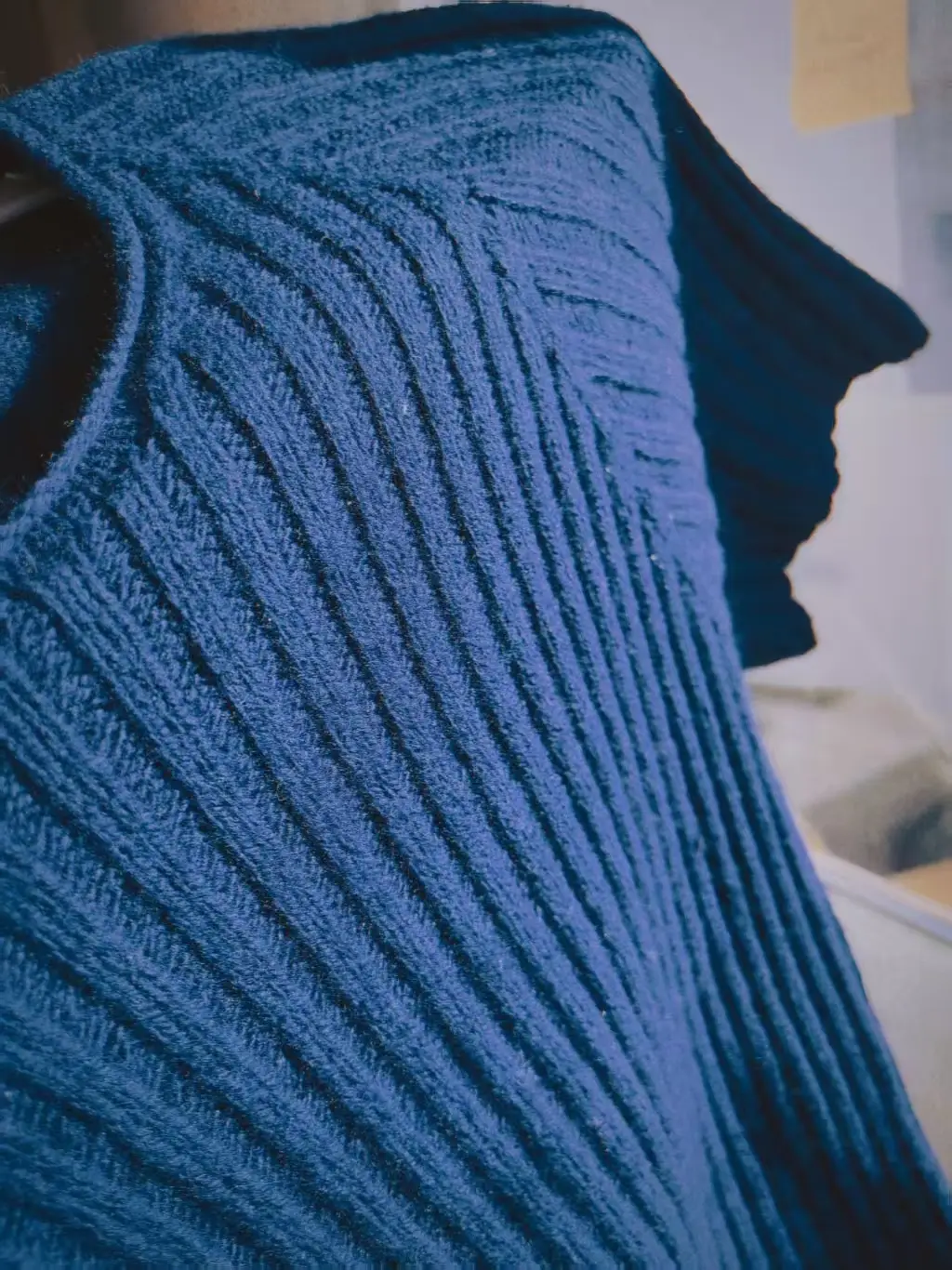 大學生寫家史︱志萍