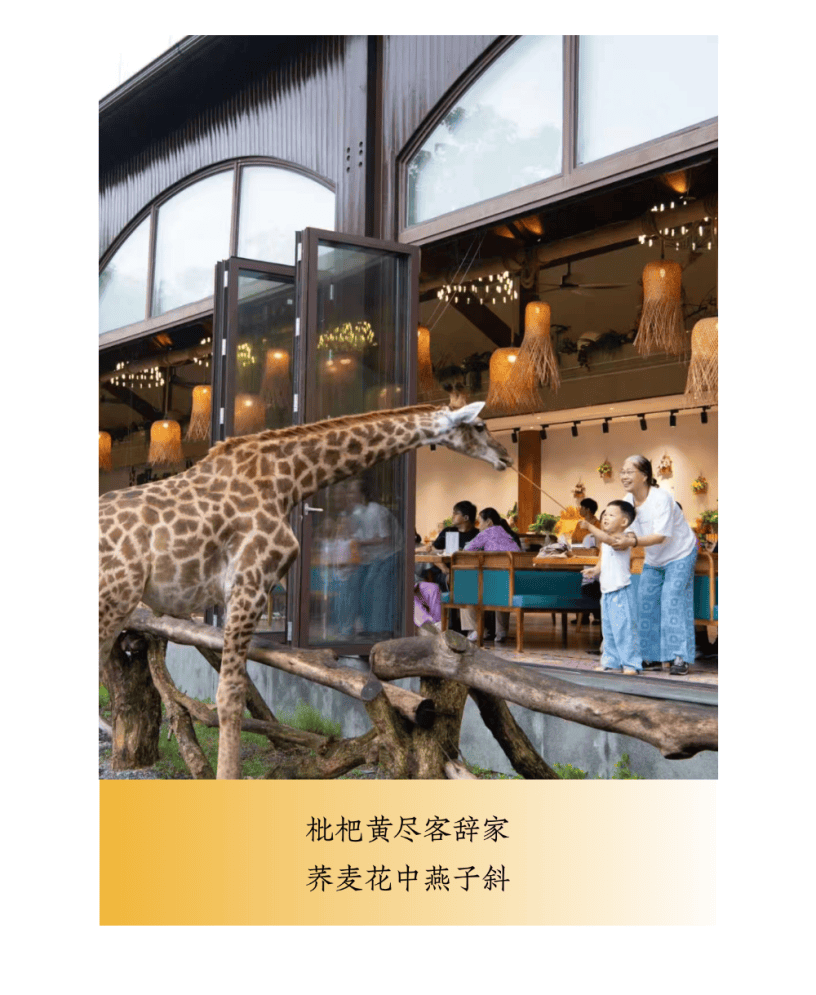 當用中國傳統色開啟“湄公河旅遊”，原來風景可以這麼詩意~