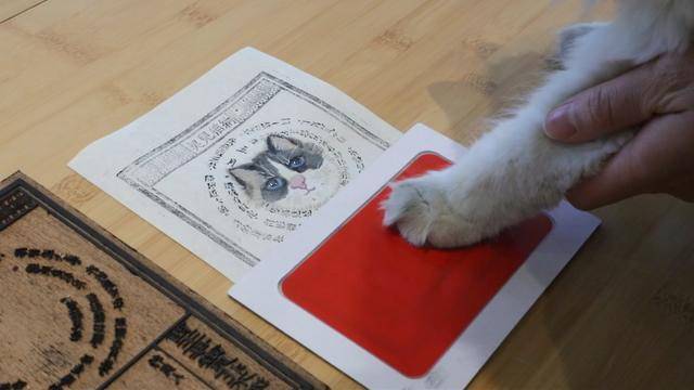 趁春光正好，去圖書館感受書香“四月天”