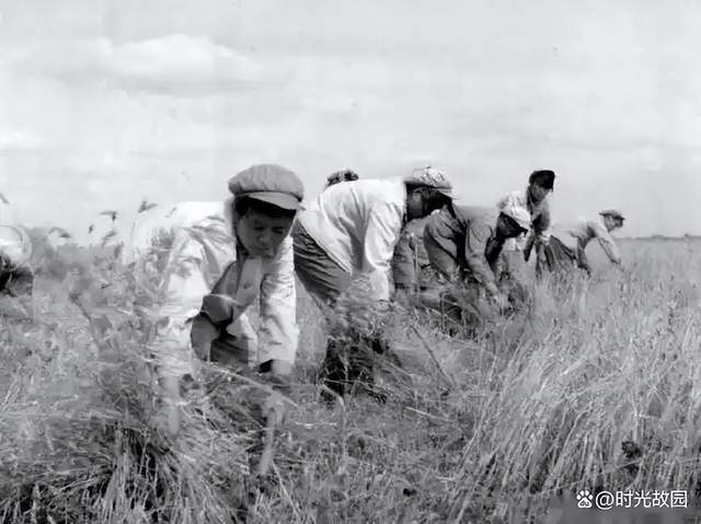 詩意江城：律賦•知青賦——詩人董學德最新創作詩歌欣賞