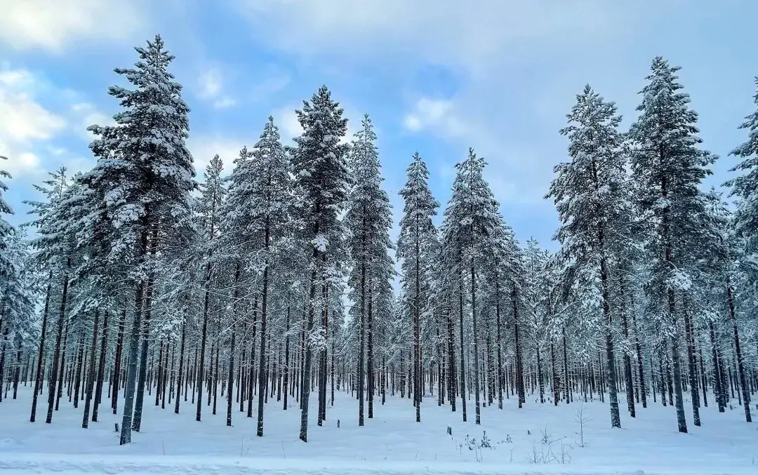 全球最幸福國家芬蘭，為什麼教育也是第一？女兒在海淀“芬蘭幼兒園”揭秘…