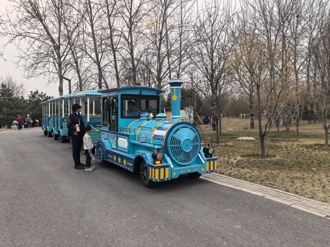通州隱秘寶藏公園！露營、野餐、踏青一站式搞定，速收藏~
