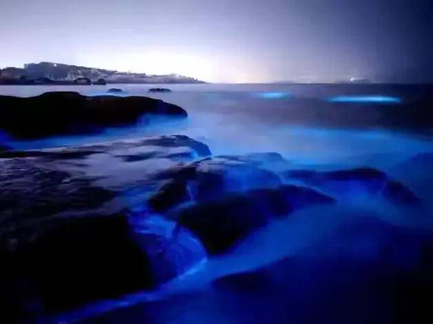 平潭島藍眼淚，霞浦海帶季、船𠂆油漆工、惠安女、山腰鹽廠、潯埔女攝影團