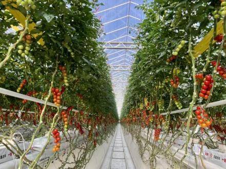 徽銀金租：江淮逐綠 租賃添金