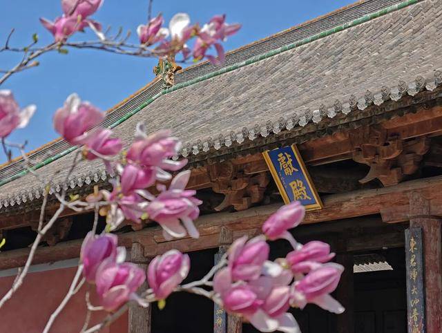 一磚一瓦遇春光，收藏這一幀幀“山河春韻圖”