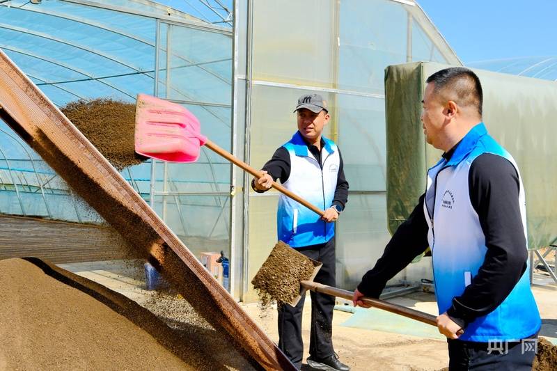 地標中國丨共青農場搶抓農時 科技賦能水稻育秧備耕