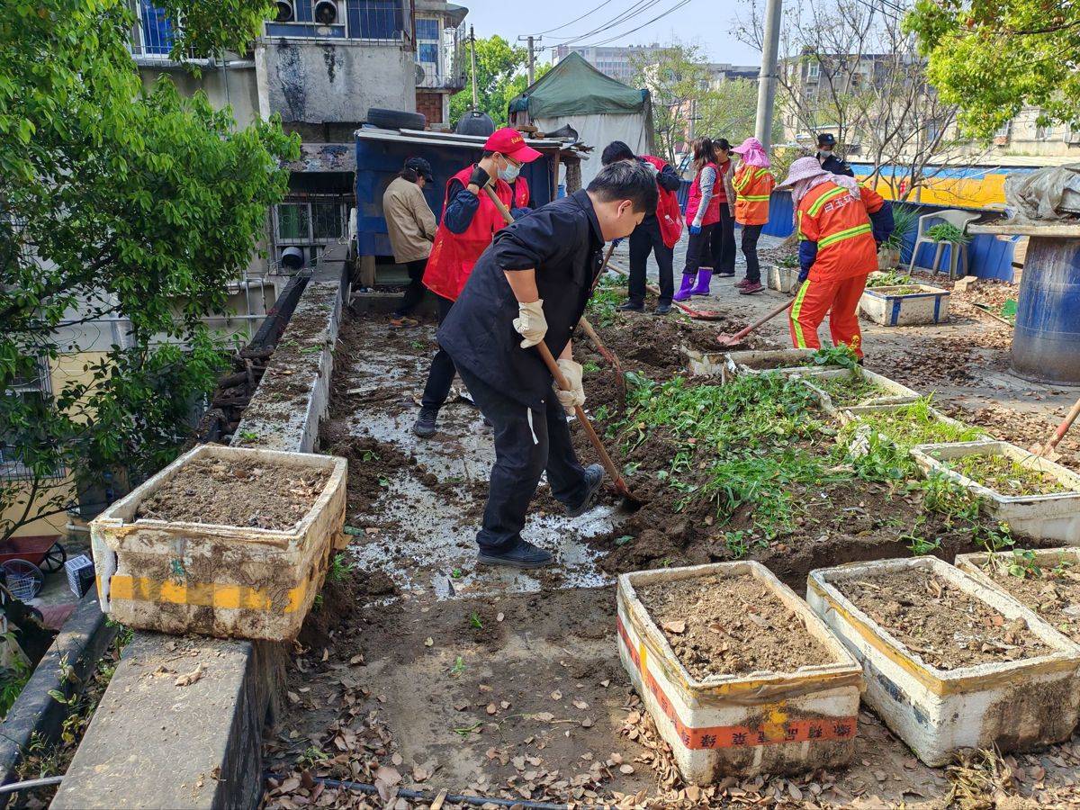 5噸雜物“搬家”，頭頂隱患清零，青山區白玉山街道煥新社羣“天際線”
