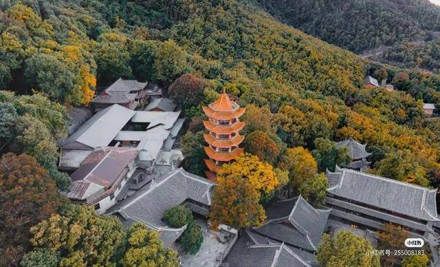 比大理浪漫！比昆明更近！高鐵直達陽光小城，2萬株藍花楹美瘋！觀海登山，美食吃到爽！