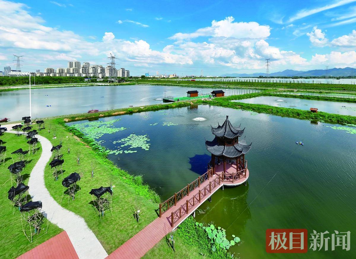 來黃石看“楚超”，這篇美食攻略請收好