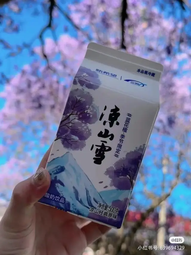 比大理浪漫！比昆明更近！高鐵直達陽光小城，2萬株藍花楹美瘋！觀海登山，美食吃到爽！