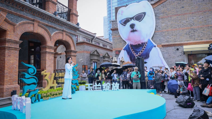 在百年弄堂邂逅戲劇之美，這場快閃名家薈萃