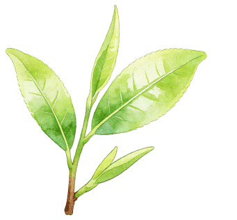 2026成都畢業生租房優惠彙總！涉及租房補貼、免費入住！