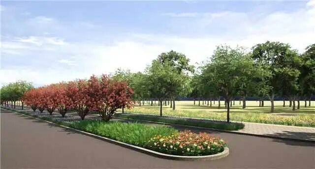 交通工程“加速度”！安立路快速化改造年底基本完工