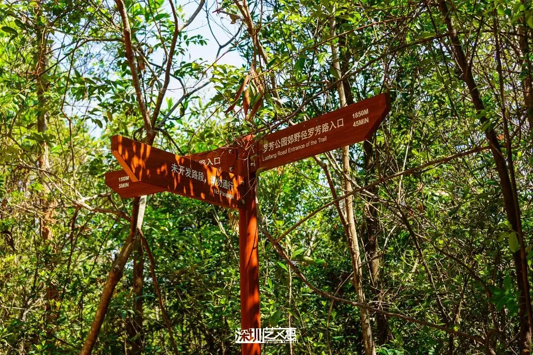 今日深圳｜聽說，羅芳郊野徑新開了個“狗狗圖書館”